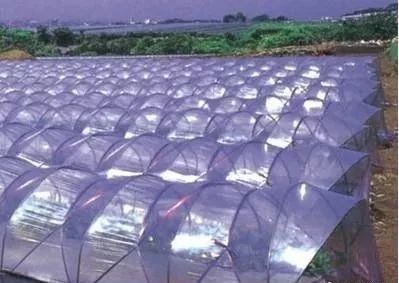 用地膜的朋友注意,国家出台新标准!违规购买、使用,将被罚款!